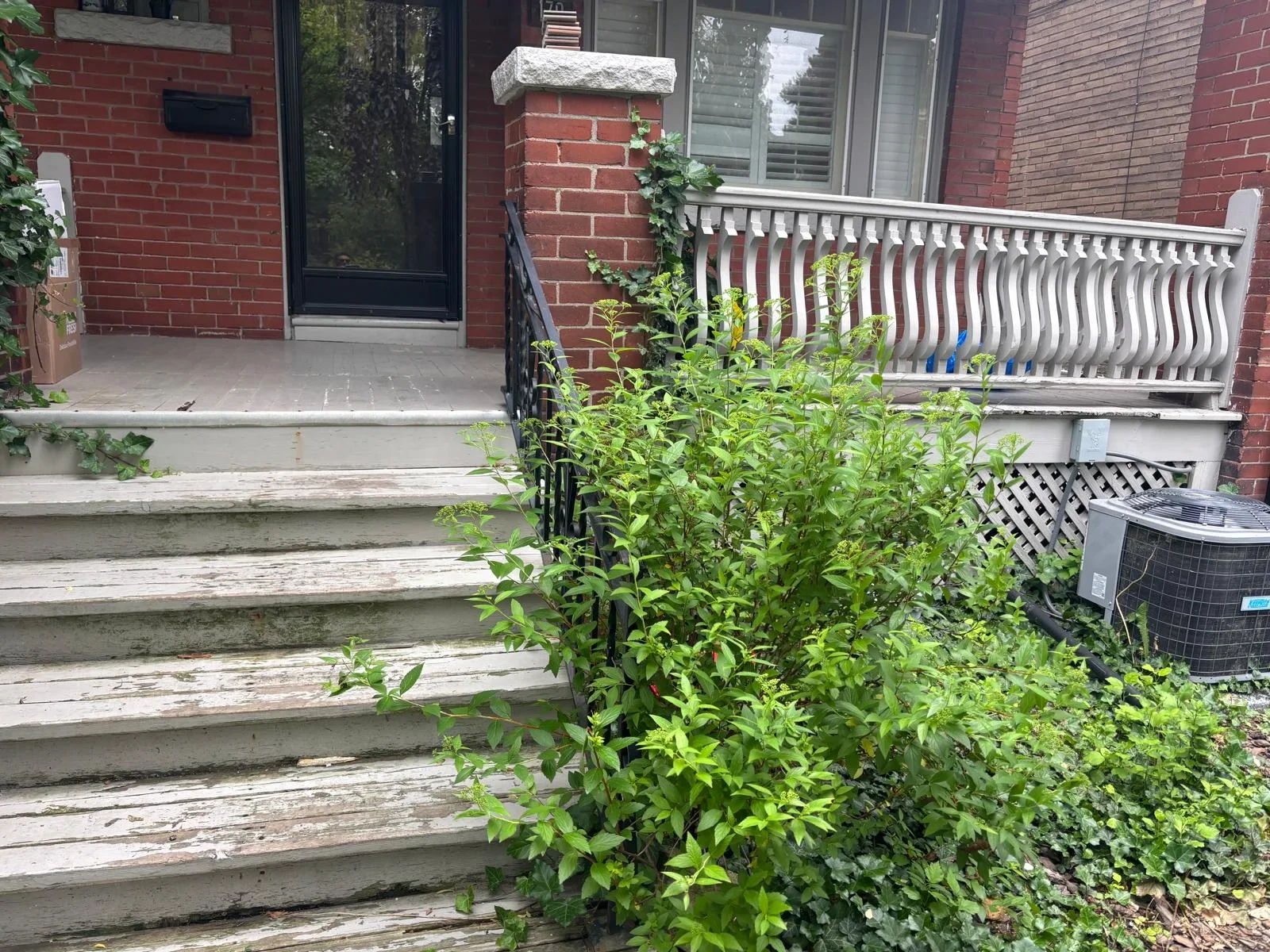 Front Deck — photo