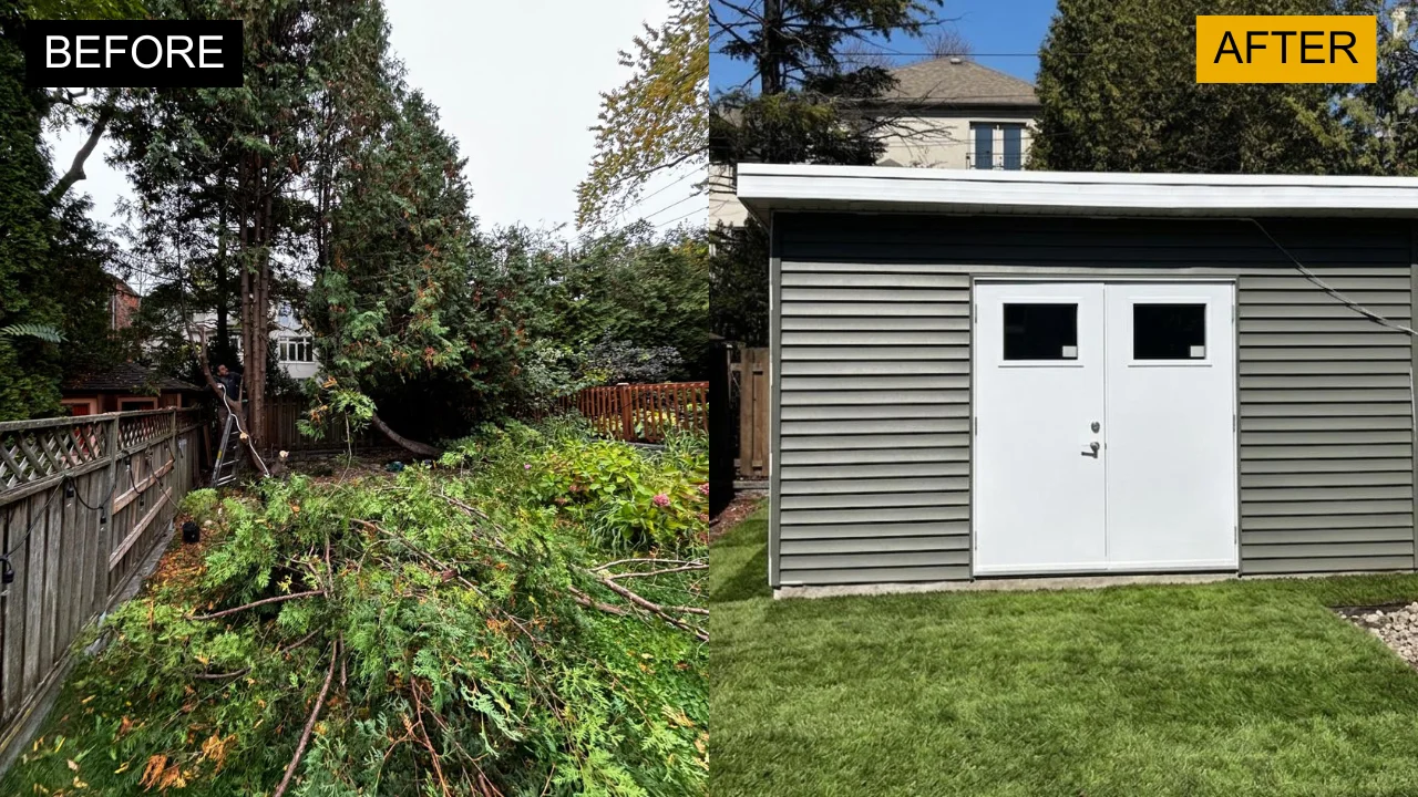 Transformations — photo