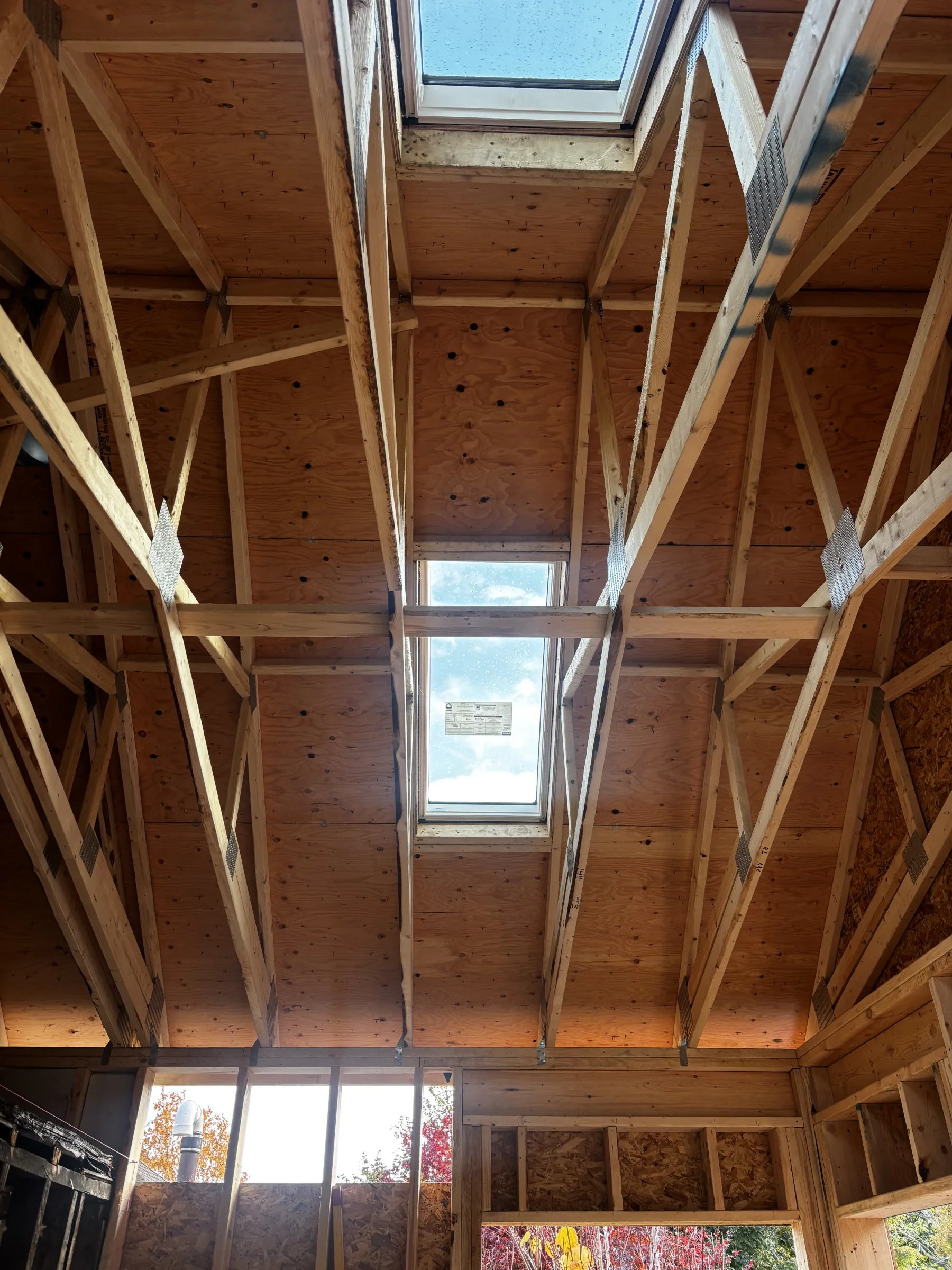 Sunroom — photo