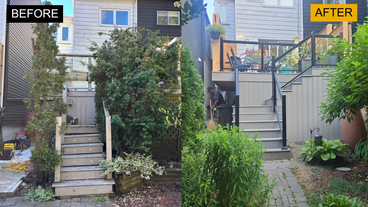 Transformations — photo