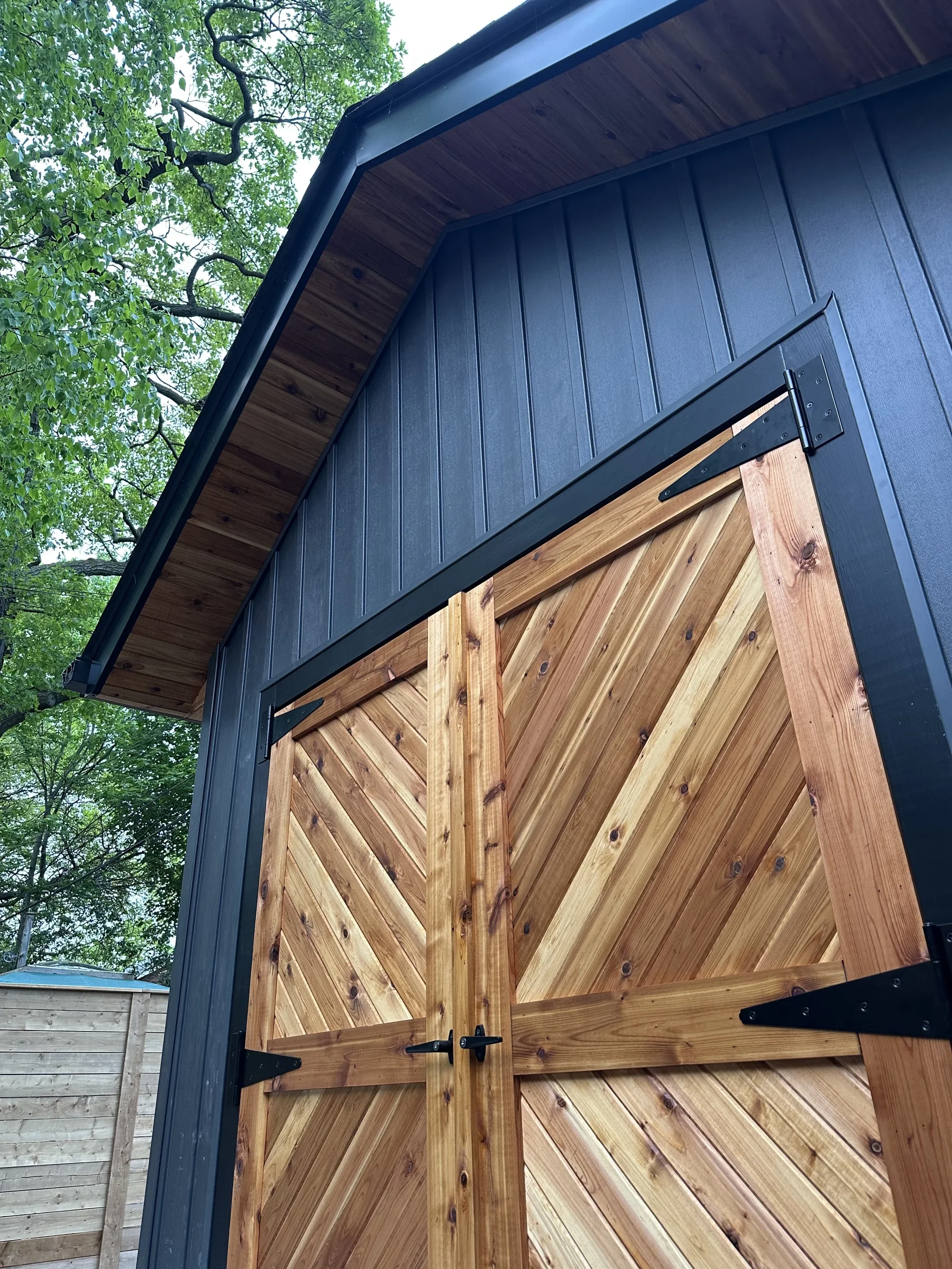 Phil Shed — photo